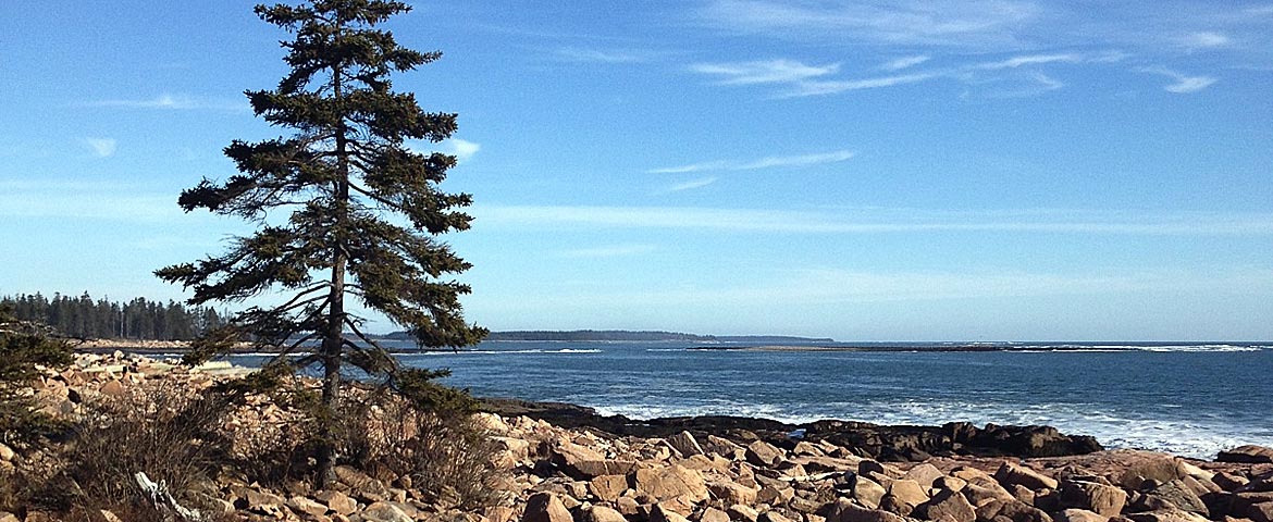 Ship's Harbor in Acadia National Park